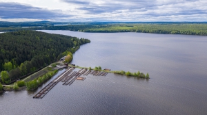 Виды Нижней Туры. Май 2020 г. Автор снимков - Артур Пивоваров