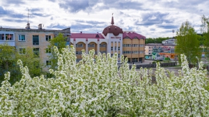 Виды Нижней Туры. Май 2020 г. Автор снимков - Артур Пивоваров