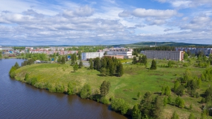 Виды Нижней Туры. Май 2020 г. Автор снимков - Артур Пивоваров