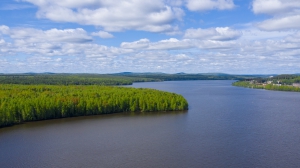 Виды Нижней Туры. Май 2020 г. Автор снимков - Артур Пивоваров