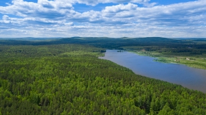 Виды Нижней Туры. Май 2020 г. Автор снимков - Артур Пивоваров