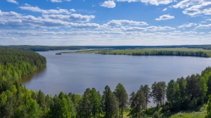 Виды Нижней Туры. Май 2020 г. Автор снимков - Артур Пивоваров