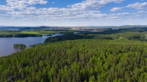 Виды Нижней Туры. Май 2020 г. Автор снимков - Артур Пивоваров