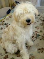 Малышка Умка