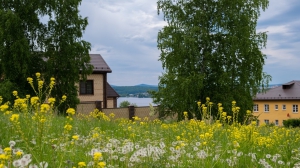 Фото Артура Пивоварова, газета