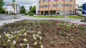 Фото Сергея Чикишева