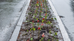 Фото Сергея Чикишева