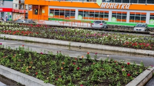 Фото Сергея Чикишева