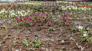 Фото Сергея Чикишева