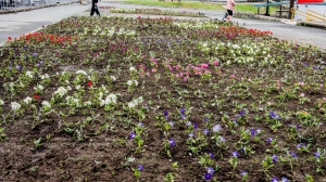 Фото Сергея Чикишева