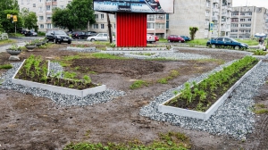 Фото Сергея Чикишева