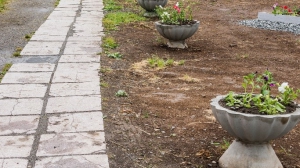 Фото Сергея Чикишева