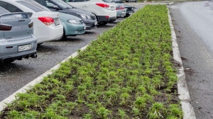 Фото Сергея Чикишева