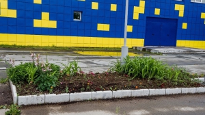 Фото Сергея Чикишева