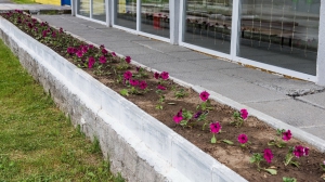 Фото Сергея Чикишева