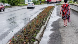Фото Сергея Чикишева