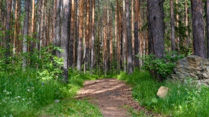 Нижняя Тура. Виды города. 16.06.2020