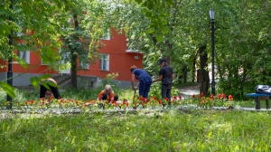 Нижняя Тура. Виды города. 16.06.2020