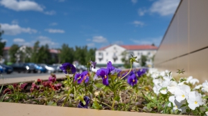 Нижняя Тура. Виды города. 16.06.2020