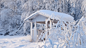 В царстве снежной королевы