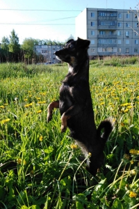 Добрая и ласковая Агаша