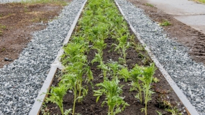 Фото Нижней Туры