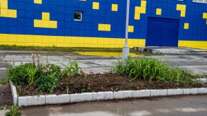 Фото Нижней Туры