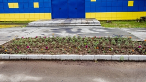 Фото Нижней Туры