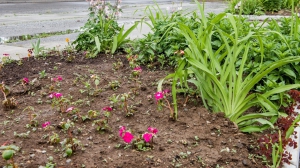 Фото Нижней Туры