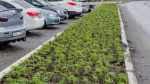 Фото Нижней Туры