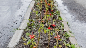 Фото Нижней Туры