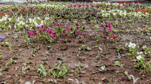 Фото Нижней Туры