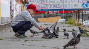 Фото Нижней Туры