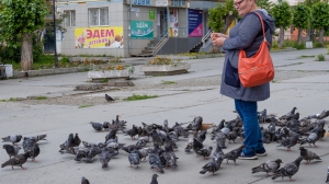 Фото Нижней Туры