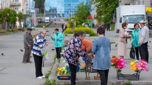 Фото Нижней Туры