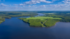 Нижняя Тура