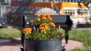 Фото Артура Пивоварова