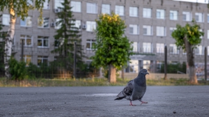 Утро Тура, стритфото 21.06.2020