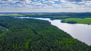 Утро Тура, стритфото 21.06.2020