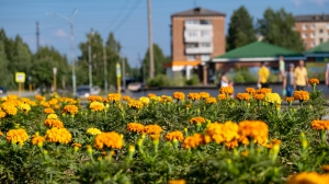 Нижняя Тура, стритфото 12.07.2020