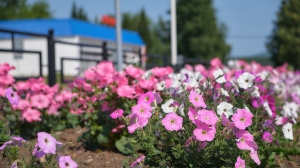 Фото Артура Пивоварова