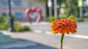 Фото Артура Пивоварова