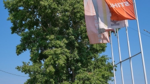 Фото Артура Пивоварова