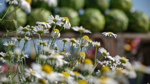 Фото Артура Пивоварова