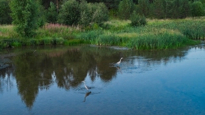 Фото Артура Пивоварова, газета 
