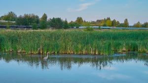 Фото Артура Пивоварова, газета 