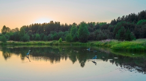Фото Артура Пивоварова, газета 