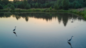 Фото Артура Пивоварова, газета 