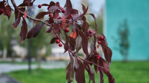 Фото Артура Пивоварова