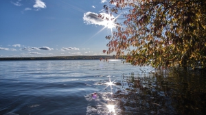 Фото Артура Пивоварова